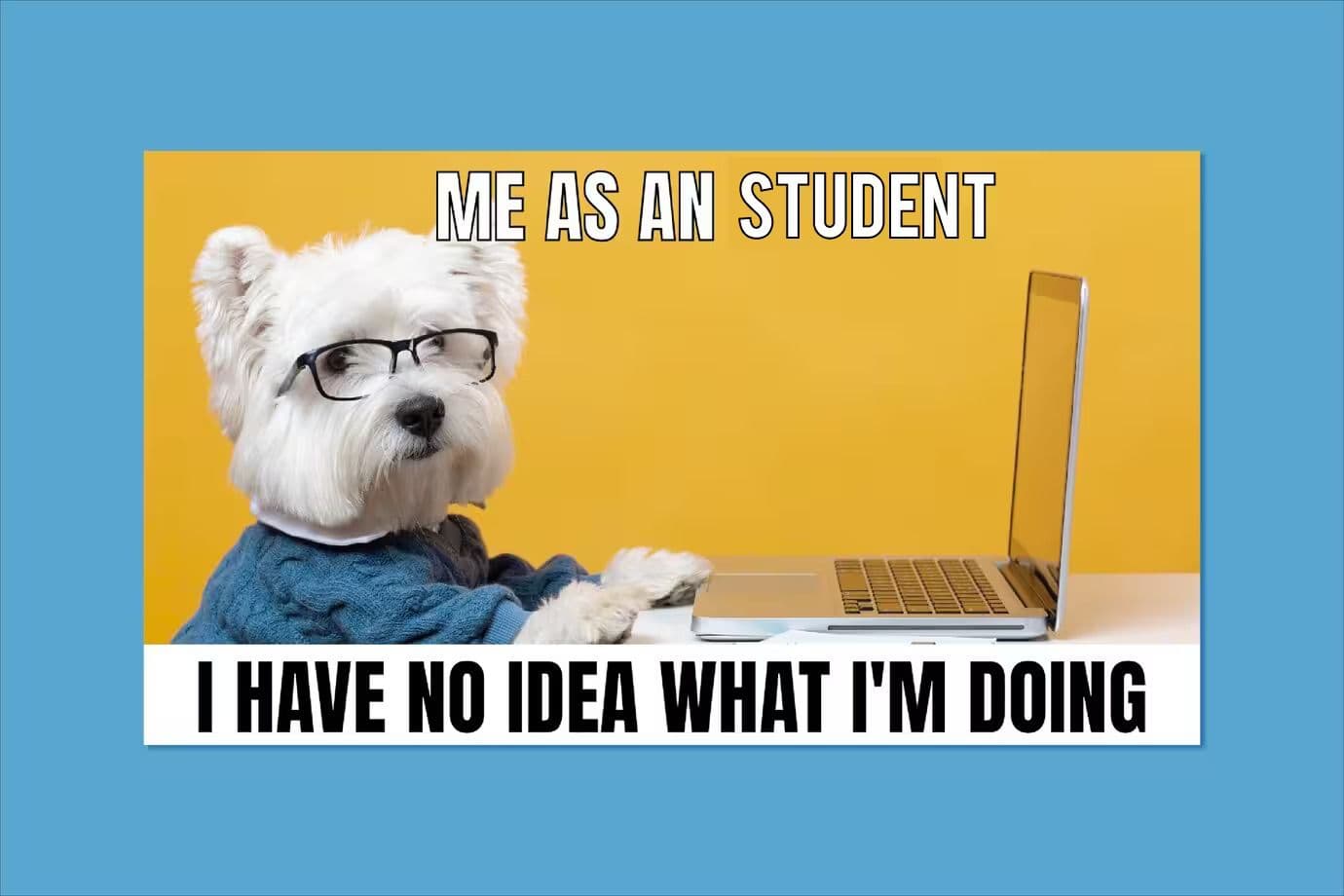 15 Homework Memes Every Student Will Absolutely Love