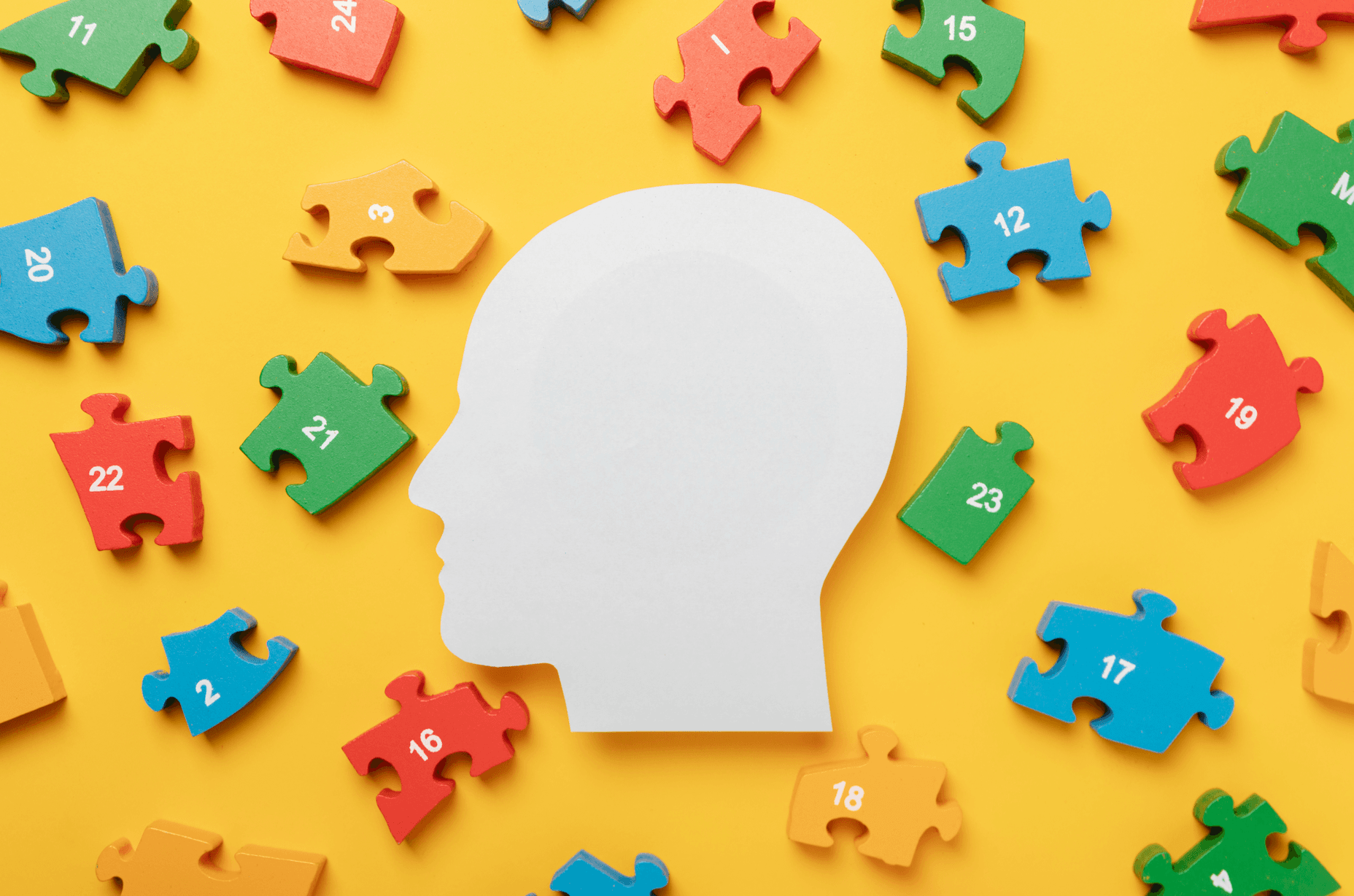 Argumentative Essays Made Easy: Focus on Logic, Not Stress