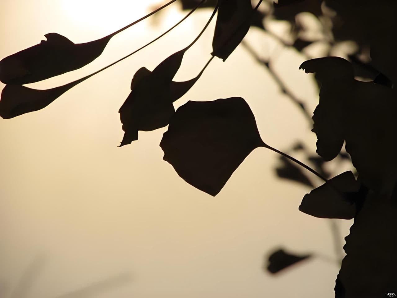 Sensory Details: Why They Matter in Travel Blogging